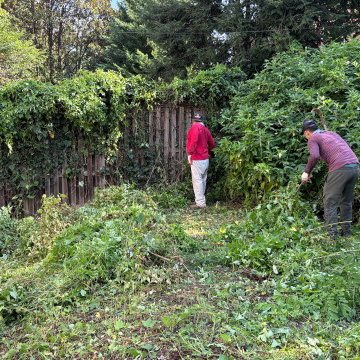 Before Photo with Heavily Overgrown Vegetation
