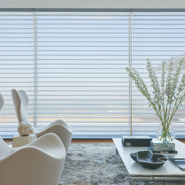 Silhouette Window Shadings