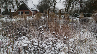 Jakobstuin