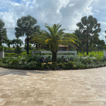 Driveway Revamp
