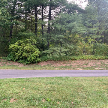 Front Yard Lawn Renovation/Planting
