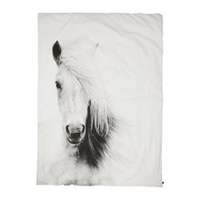 horses !!