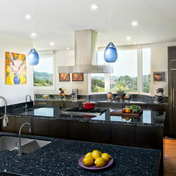 Contemporary Renovation: Kitchen