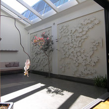 extension