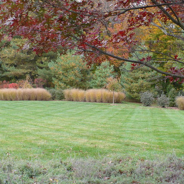 Landscape screening along a busy road