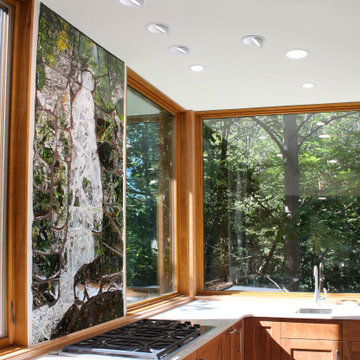 Kitchen View 6