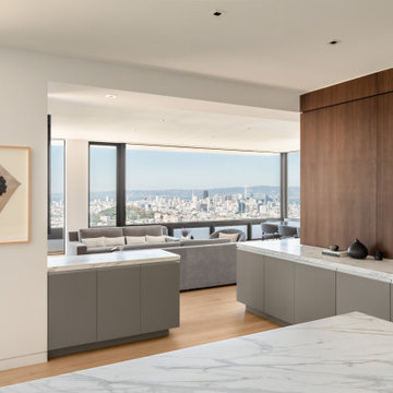 Sutro Heights Modern