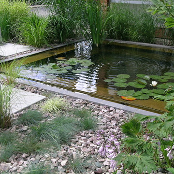 Petit bassin aux nénuphars