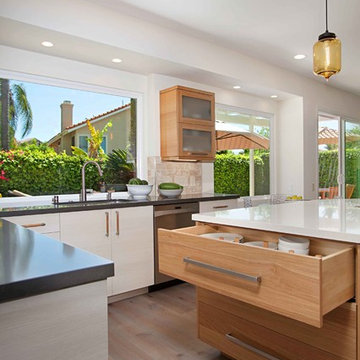 European Minimalism in Rancho Peñasquitos