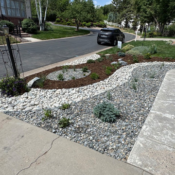 HOA-Approved Golden Xeriscape | Front Yard Transformation