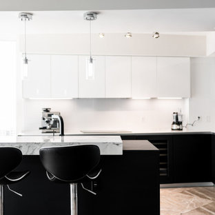 Pedini Miami Living in the Kitchen Coral Gables, Florida, United States Project Review & Ratings