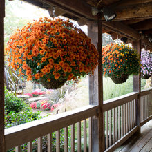 Fall