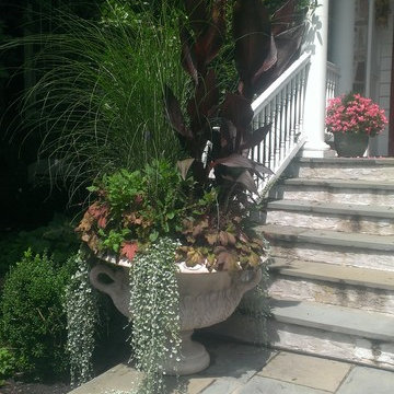 Estate Maintenance and Mixed Plantings