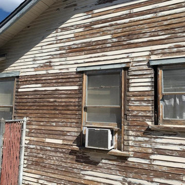 Exterior Paint