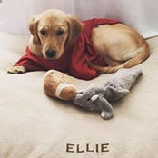 Elizabeth Watters's photo