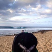 Nicholas Catanese's photo