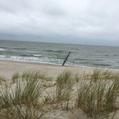 Viktoriya Krug's photo