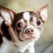 Lynn Spivey's photo