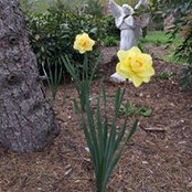 Brenda Lee's photo