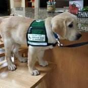 Mary Kay Snyder's photo