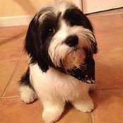 Vicki Stanbury's photo