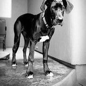 Sarah Leavitt's photo