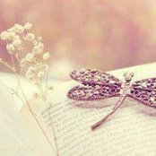 Foto de Manar Mostafa
