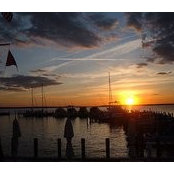 Debbie Dudonis's photo