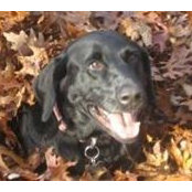 Trisha Hipper-Maloney's photo