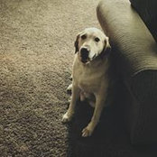Joseph DeLombarde's photo