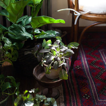 My Houzz: Creative Couple Furnishes a 1920's Rental with Vintage Finds