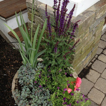 Seasonal Container Plantings & Changeovers
