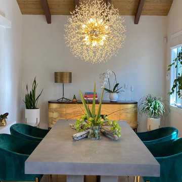 Christian & Bruno’s Dining room / Formal Living Room