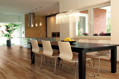 Inspiration for a contemporary light wood floor dining room remodel in DC Metro