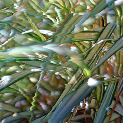 Blowing Ribbon Grass - Artwork