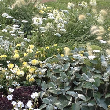 Blooming Garden Beds