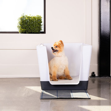 Dog Space