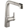 Evoke® Single-hole Kitchen Sink Faucet With 9" Pullout Spout