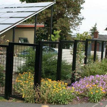 Kirkland Permaculture Garden