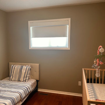 Dual Motorized Roller Shades