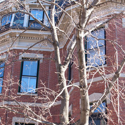 JB Sash Proper Bostonian-South End Boston - Windows And Doors