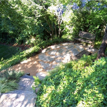 Landscape Design & Installation