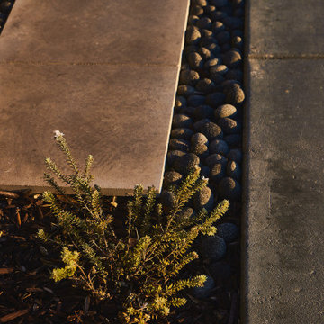 Eucalyptus Landscape