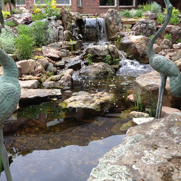 Ecosystem Ponds and Water Gardens By Continental Ponds