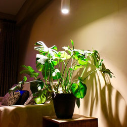 Luxury Interior Design with a Green Flare - Pendant Lighting
