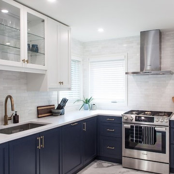 IKEA Retrofit Blue and White Canyon Doors