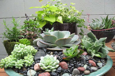 Inspiration for an asian garden in Seattle.