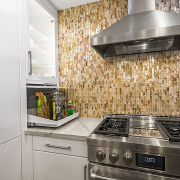 Aging in Place -Transitional Kitchen