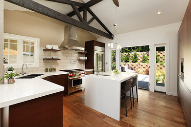 Kitchen - contemporary kitchen idea in Orange County