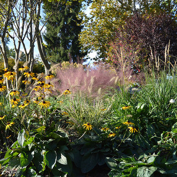 Plantings